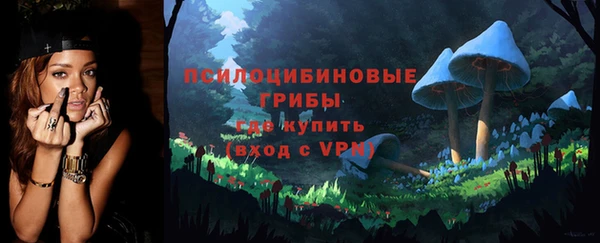 ПСИЛОЦИБИНОВЫЕ ГРИБЫ Белокуриха