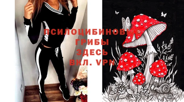 марки lsd Богородицк