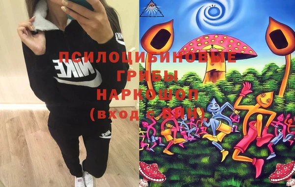 марки lsd Богородицк