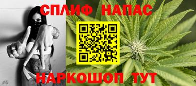 индика Пушкино