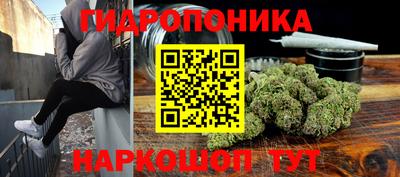 индика Пушкино