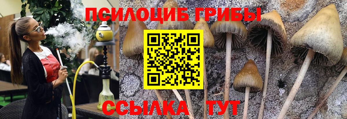 Псилоцибиновые грибы мухоморы  как найти закладки  Мурманск  Вход с VPN 